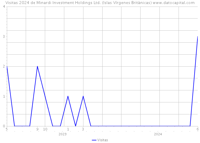 Visitas 2024 de Minardi Investment Holdings Ltd. (Islas Vírgenes Británicas) 