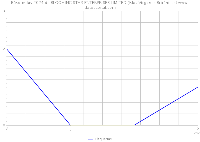 Búsquedas 2024 de BLOOMING STAR ENTERPRISES LIMITED (Islas Vírgenes Británicas) 