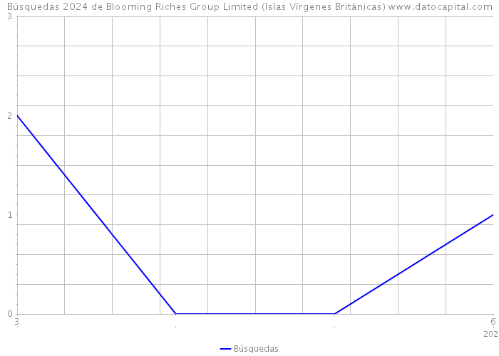 Búsquedas 2024 de Blooming Riches Group Limited (Islas Vírgenes Británicas) 