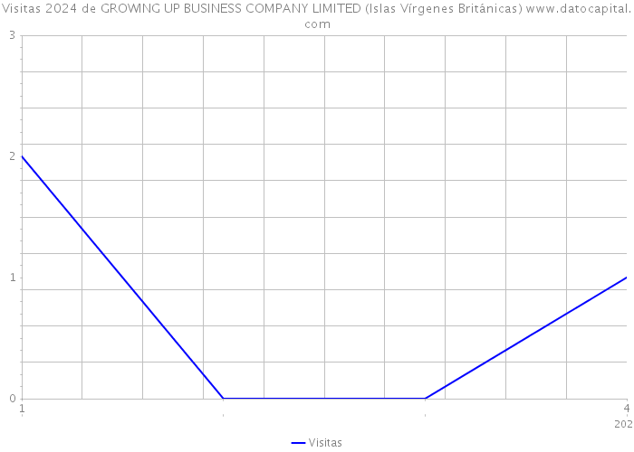 Visitas 2024 de GROWING UP BUSINESS COMPANY LIMITED (Islas Vírgenes Británicas) 