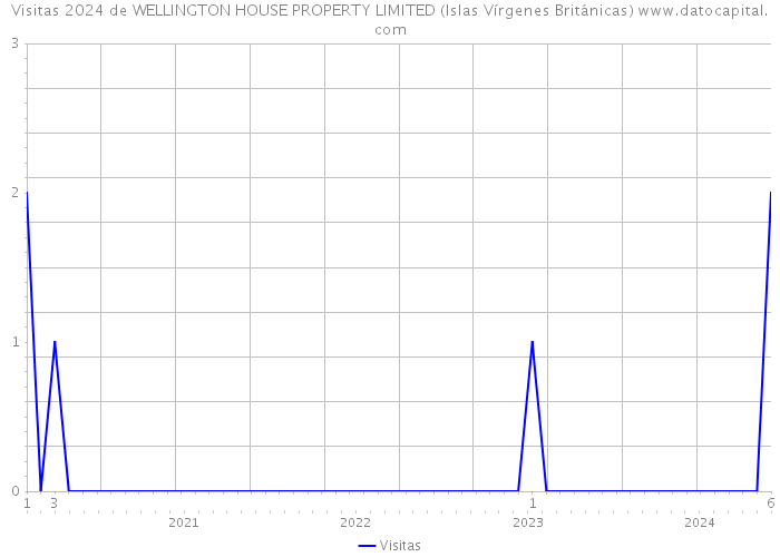 Visitas 2024 de WELLINGTON HOUSE PROPERTY LIMITED (Islas Vírgenes Británicas) 