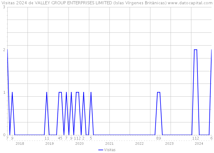 Visitas 2024 de VALLEY GROUP ENTERPRISES LIMITED (Islas Vírgenes Británicas) 