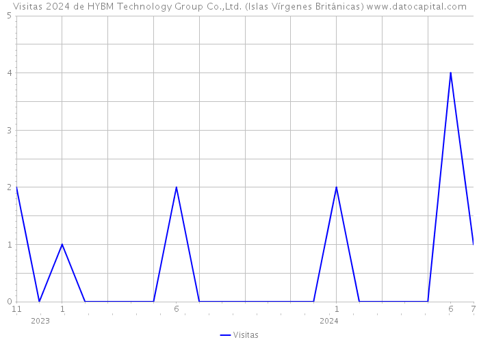 Visitas 2024 de HYBM Technology Group Co.,Ltd. (Islas Vírgenes Británicas) 