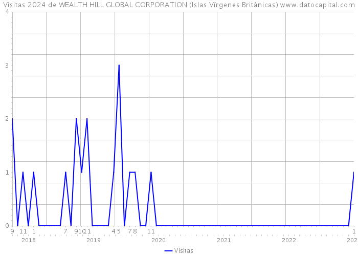 Visitas 2024 de WEALTH HILL GLOBAL CORPORATION (Islas Vírgenes Británicas) 