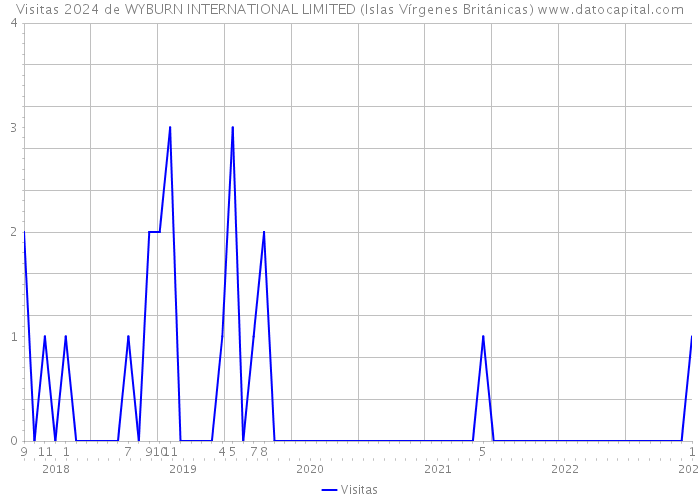 Visitas 2024 de WYBURN INTERNATIONAL LIMITED (Islas Vírgenes Británicas) 