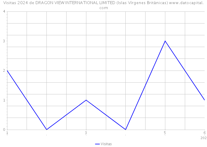 Visitas 2024 de DRAGON VIEW INTERNATIONAL LIMITED (Islas Vírgenes Británicas) 
