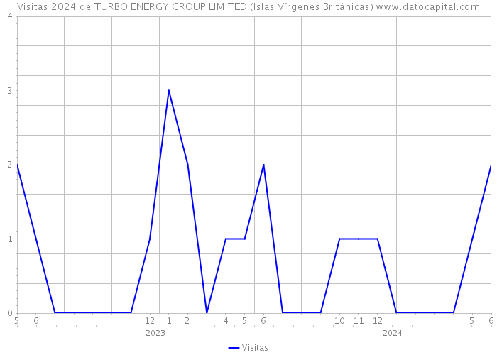 Visitas 2024 de TURBO ENERGY GROUP LIMITED (Islas Vírgenes Británicas) 