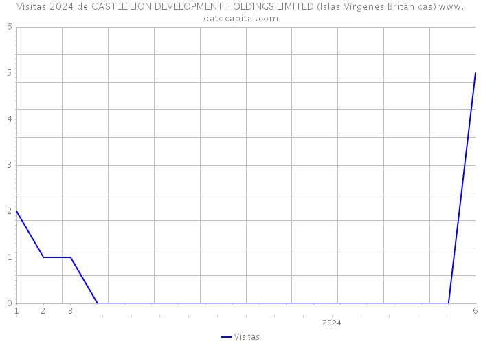 Visitas 2024 de CASTLE LION DEVELOPMENT HOLDINGS LIMITED (Islas Vírgenes Británicas) 