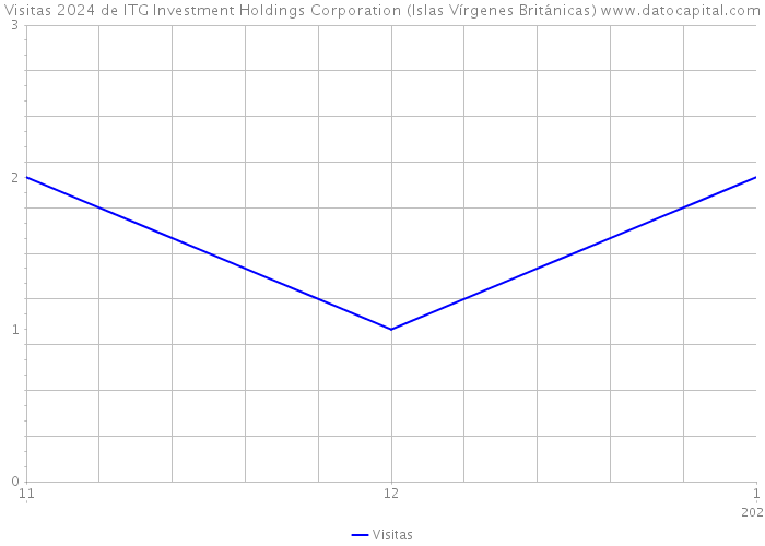 Visitas 2024 de ITG Investment Holdings Corporation (Islas Vírgenes Británicas) 