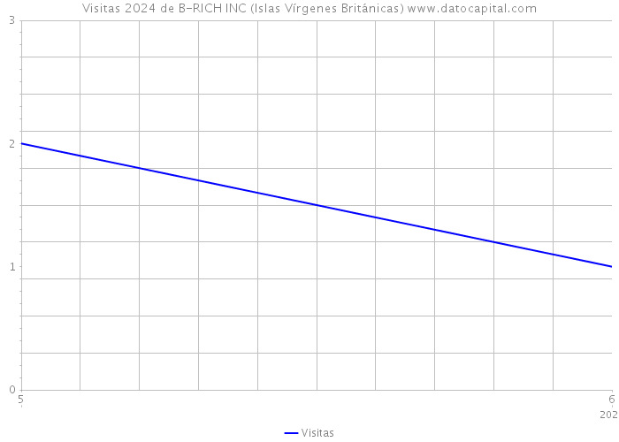 Visitas 2024 de B-RICH INC (Islas Vírgenes Británicas) 