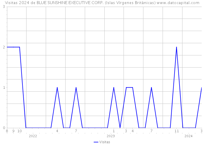 Visitas 2024 de BLUE SUNSHINE EXECUTIVE CORP. (Islas Vírgenes Británicas) 