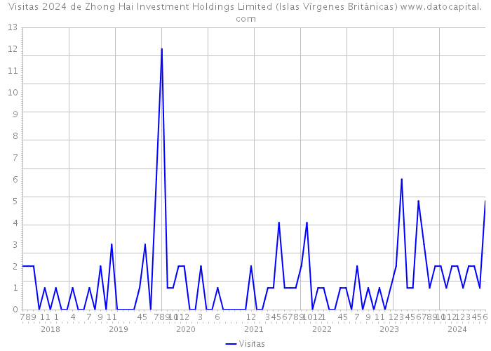 Visitas 2024 de Zhong Hai Investment Holdings Limited (Islas Vírgenes Británicas) 