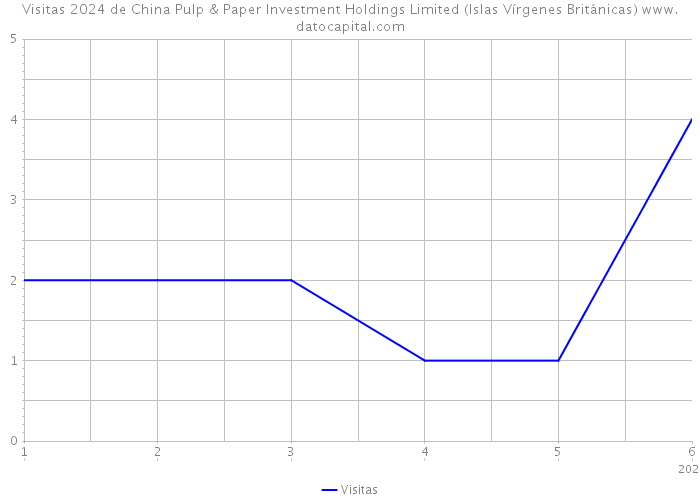 Visitas 2024 de China Pulp & Paper Investment Holdings Limited (Islas Vírgenes Británicas) 