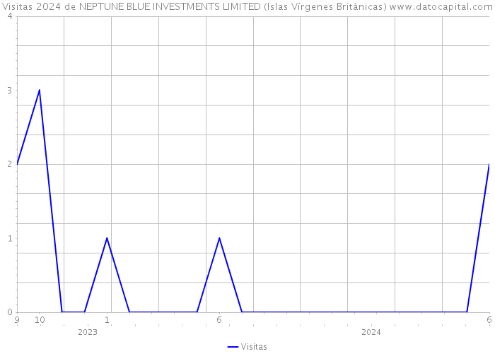 Visitas 2024 de NEPTUNE BLUE INVESTMENTS LIMITED (Islas Vírgenes Británicas) 