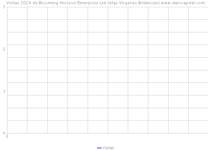 Visitas 2024 de Blooming Horizon Enterprise Ltd (Islas Vírgenes Británicas) 