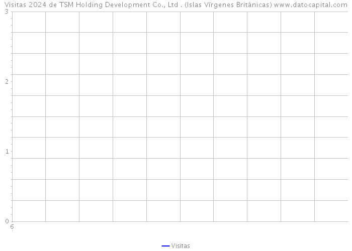 Visitas 2024 de TSM Holding Development Co., Ltd . (Islas Vírgenes Británicas) 