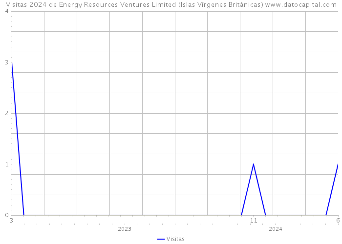 Visitas 2024 de Energy Resources Ventures Limited (Islas Vírgenes Británicas) 