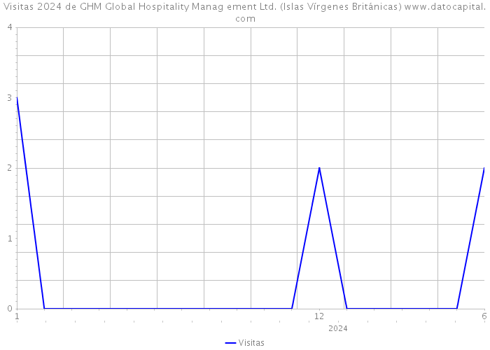 Visitas 2024 de GHM Global Hospitality Manag ement Ltd. (Islas Vírgenes Británicas) 