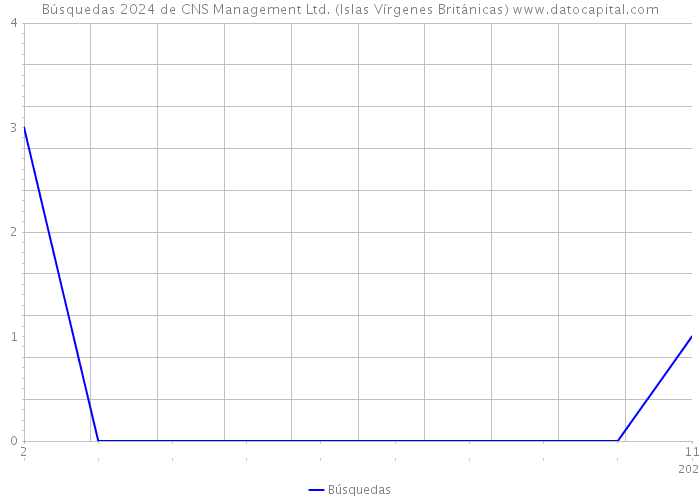 Búsquedas 2024 de CNS Management Ltd. (Islas Vírgenes Británicas) 
