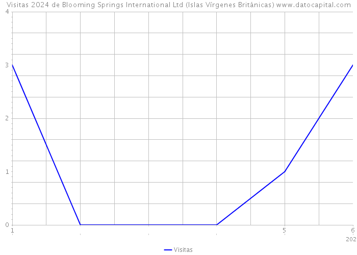 Visitas 2024 de Blooming Springs International Ltd (Islas Vírgenes Británicas) 