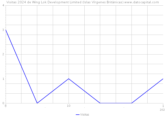 Visitas 2024 de Wing Lok Development Limited (Islas Vírgenes Británicas) 