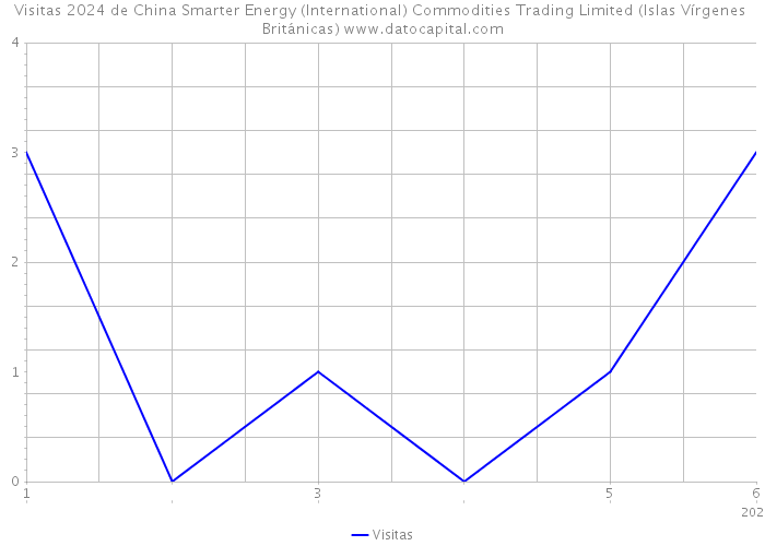 Visitas 2024 de China Smarter Energy (International) Commodities Trading Limited (Islas Vírgenes Británicas) 