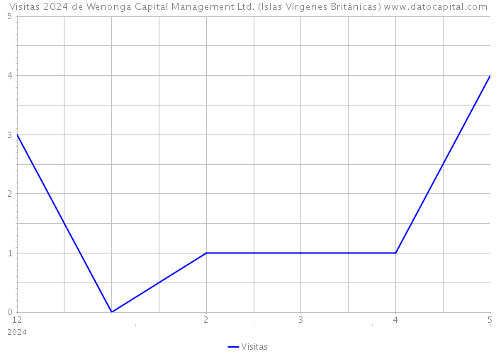 Visitas 2024 de Wenonga Capital Management Ltd. (Islas Vírgenes Británicas) 