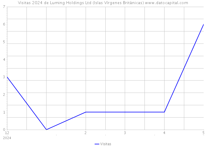 Visitas 2024 de Luming Holdings Ltd (Islas Vírgenes Británicas) 
