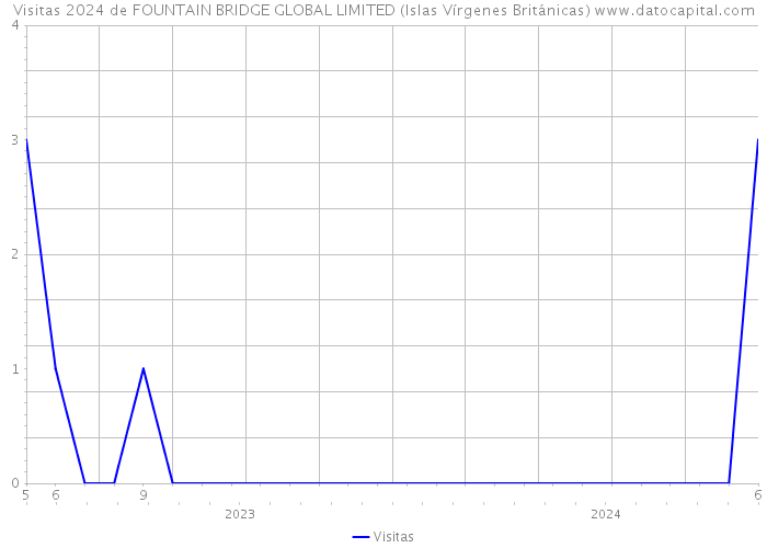Visitas 2024 de FOUNTAIN BRIDGE GLOBAL LIMITED (Islas Vírgenes Británicas) 