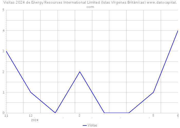 Visitas 2024 de Energy Resources International Limited (Islas Vírgenes Británicas) 