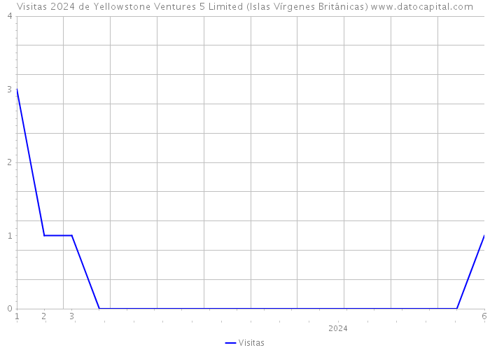 Visitas 2024 de Yellowstone Ventures 5 Limited (Islas Vírgenes Británicas) 