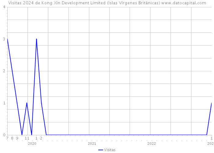 Visitas 2024 de Kong Xin Development Limited (Islas Vírgenes Británicas) 