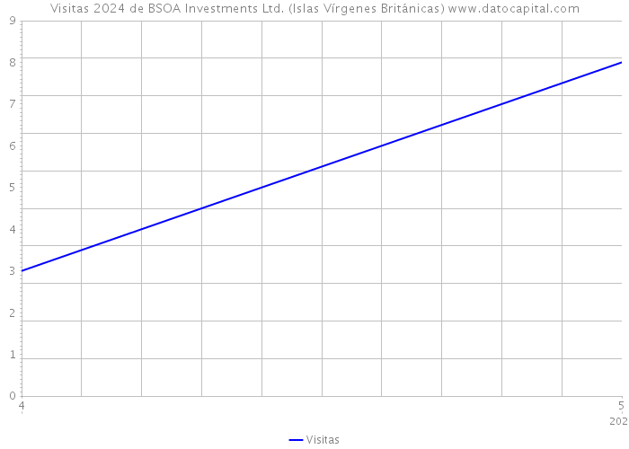 Visitas 2024 de BSOA Investments Ltd. (Islas Vírgenes Británicas) 