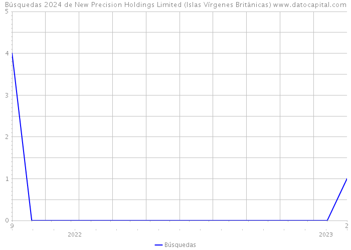 Búsquedas 2024 de New Precision Holdings Limited (Islas Vírgenes Británicas) 