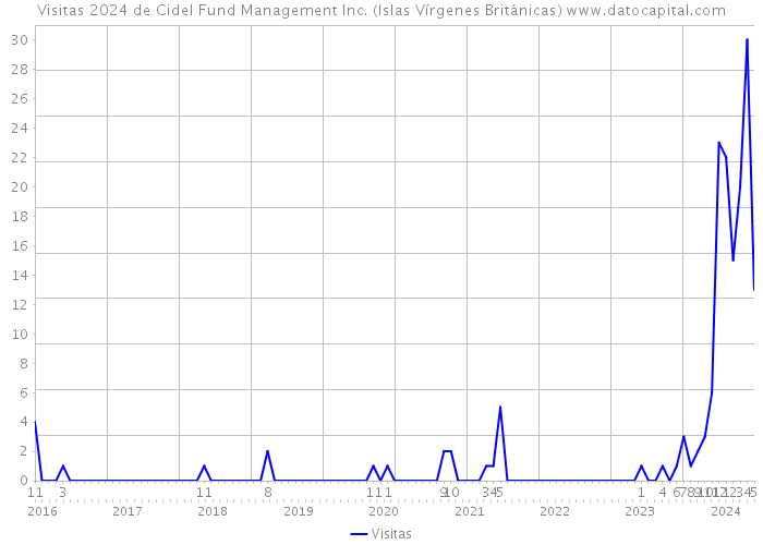 Visitas 2024 de Cidel Fund Management Inc. (Islas Vírgenes Británicas) 