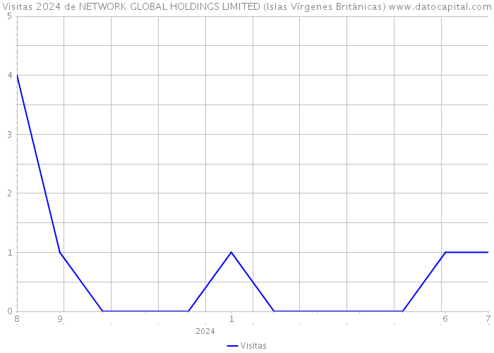 Visitas 2024 de NETWORK GLOBAL HOLDINGS LIMITED (Islas Vírgenes Británicas) 