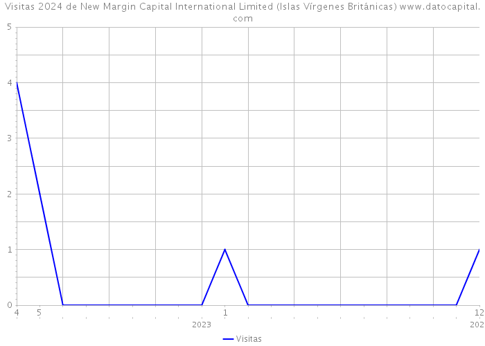 Visitas 2024 de New Margin Capital International Limited (Islas Vírgenes Británicas) 