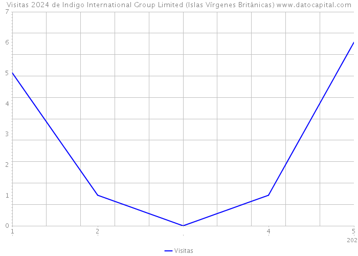 Visitas 2024 de Indigo International Group Limited (Islas Vírgenes Británicas) 