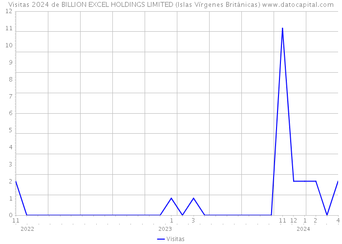 Visitas 2024 de BILLION EXCEL HOLDINGS LIMITED (Islas Vírgenes Británicas) 