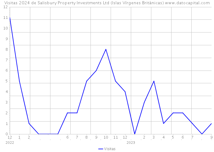 Visitas 2024 de Salisbury Property Investments Ltd (Islas Vírgenes Británicas) 