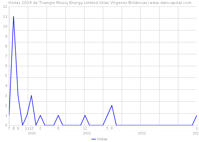 Visitas 2024 de Triangle Mussy Energy Limited (Islas Vírgenes Británicas) 