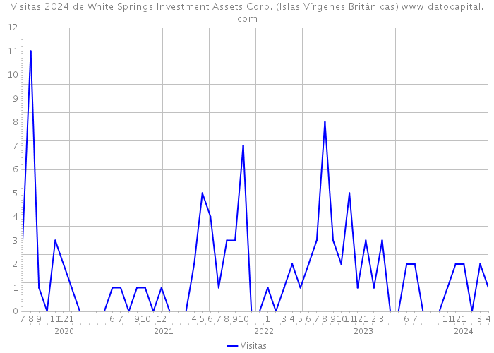 Visitas 2024 de White Springs Investment Assets Corp. (Islas Vírgenes Británicas) 