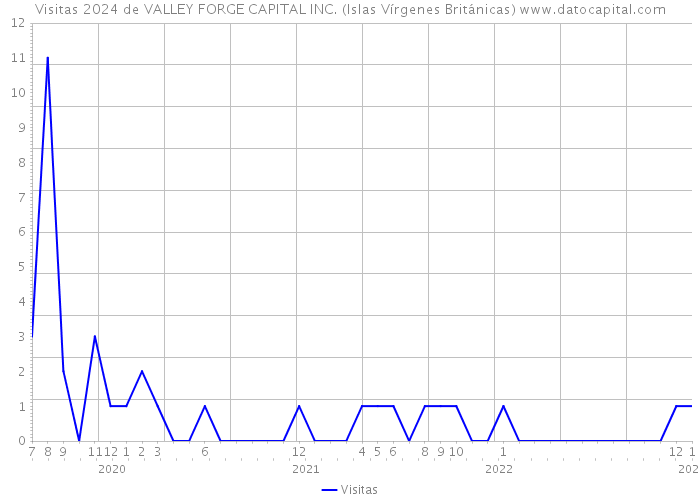 Visitas 2024 de VALLEY FORGE CAPITAL INC. (Islas Vírgenes Británicas) 