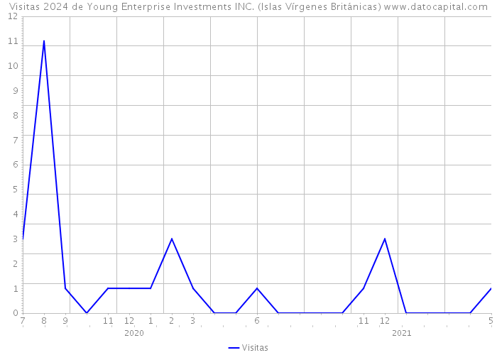 Visitas 2024 de Young Enterprise Investments INC. (Islas Vírgenes Británicas) 