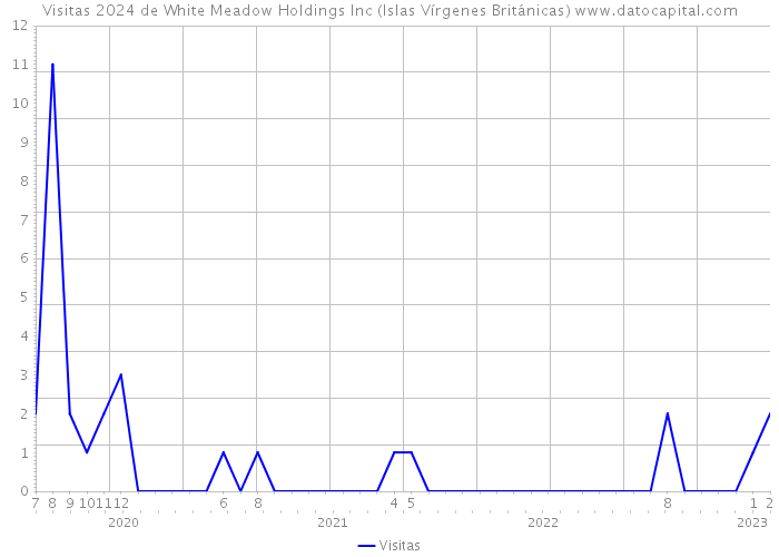 Visitas 2024 de White Meadow Holdings Inc (Islas Vírgenes Británicas) 