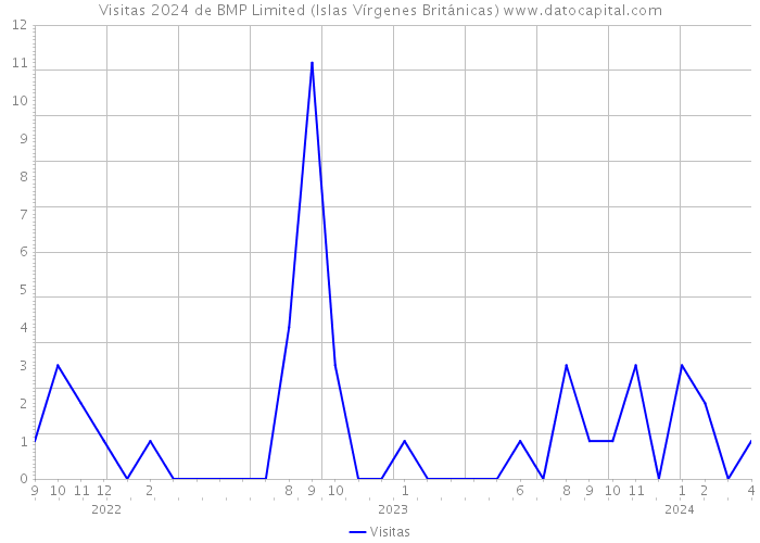 Visitas 2024 de BMP Limited (Islas Vírgenes Británicas) 