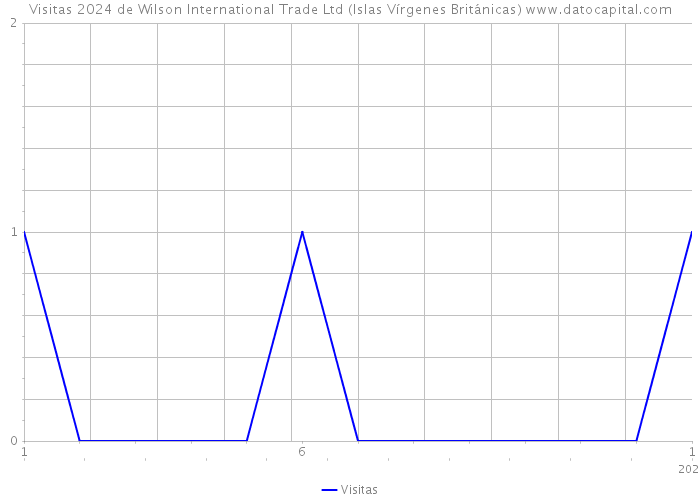 Visitas 2024 de Wilson International Trade Ltd (Islas Vírgenes Británicas) 