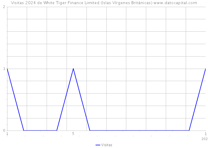 Visitas 2024 de White Tiger Finance Limited (Islas Vírgenes Británicas) 