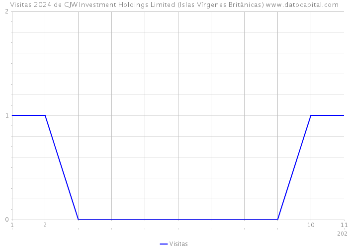 Visitas 2024 de CJW Investment Holdings Limited (Islas Vírgenes Británicas) 