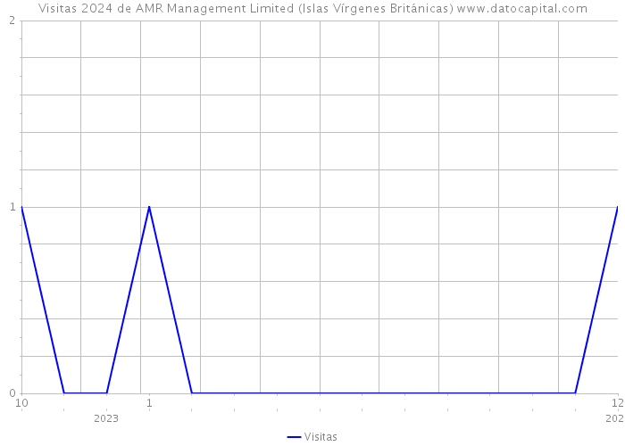 Visitas 2024 de AMR Management Limited (Islas Vírgenes Británicas) 